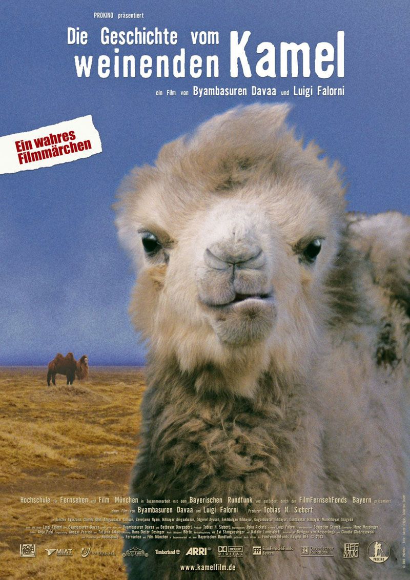 Die Geschichte vom weinenden Kamel